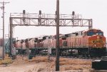 BNSF 4101 West